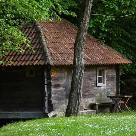 Kuca Za Odmor Todorovica Mlin Villa Gornji Milanovac Exterior photo