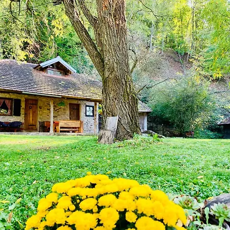 Kuca Za Odmor Todorovica Mlin Villa Gornji Milanovac Exterior photo