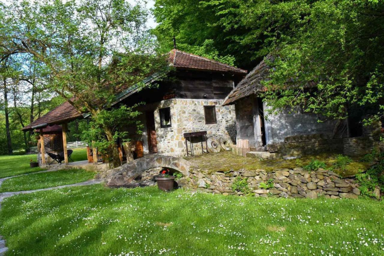 Holiday home Kuca Za Odmor Todorovica Mlin *