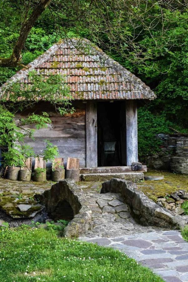 Kuca Za Odmor Todorovica Mlin Holiday home Gornji Milanovac