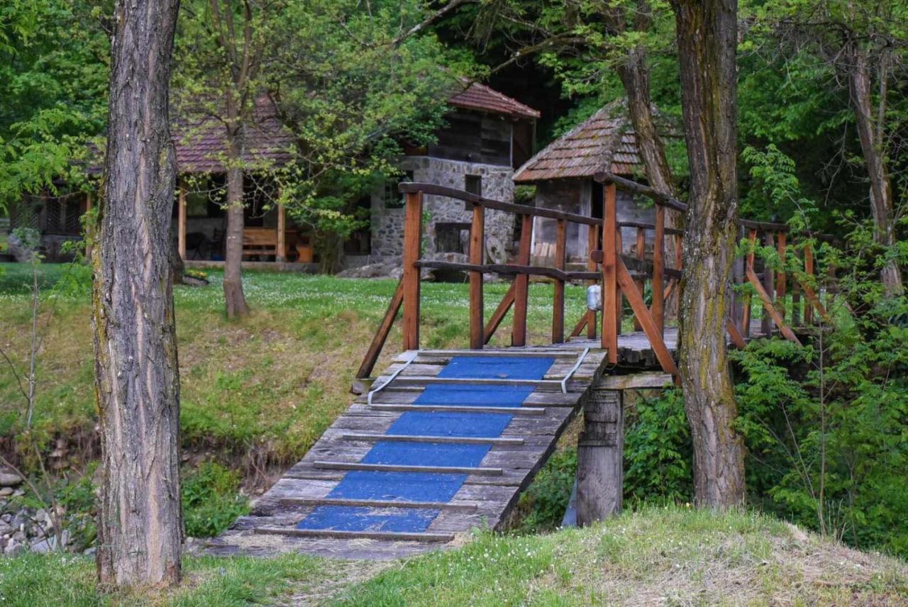 Kuca Za Odmor Todorovica Mlin Holiday home Gornji Milanovac