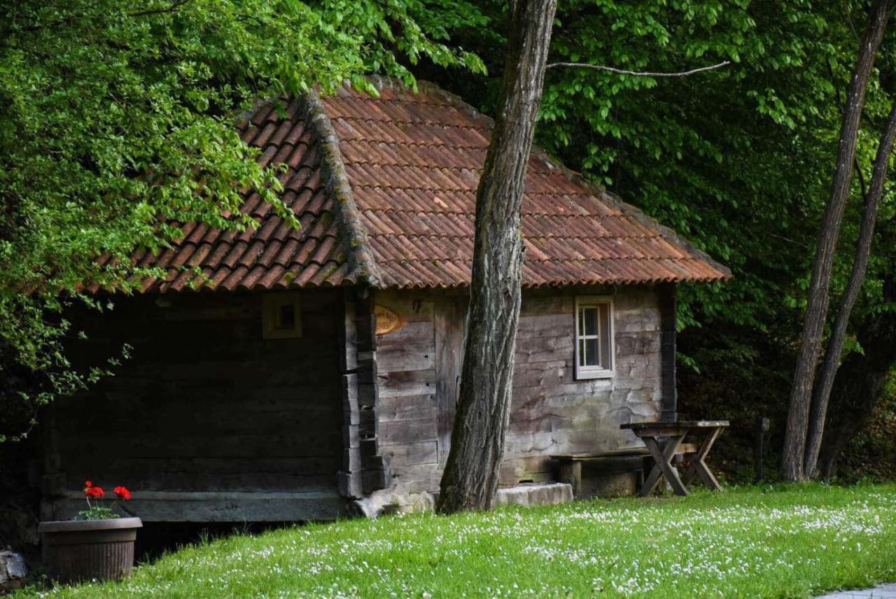 Kuca Za Odmor Todorovica Mlin Holiday home *