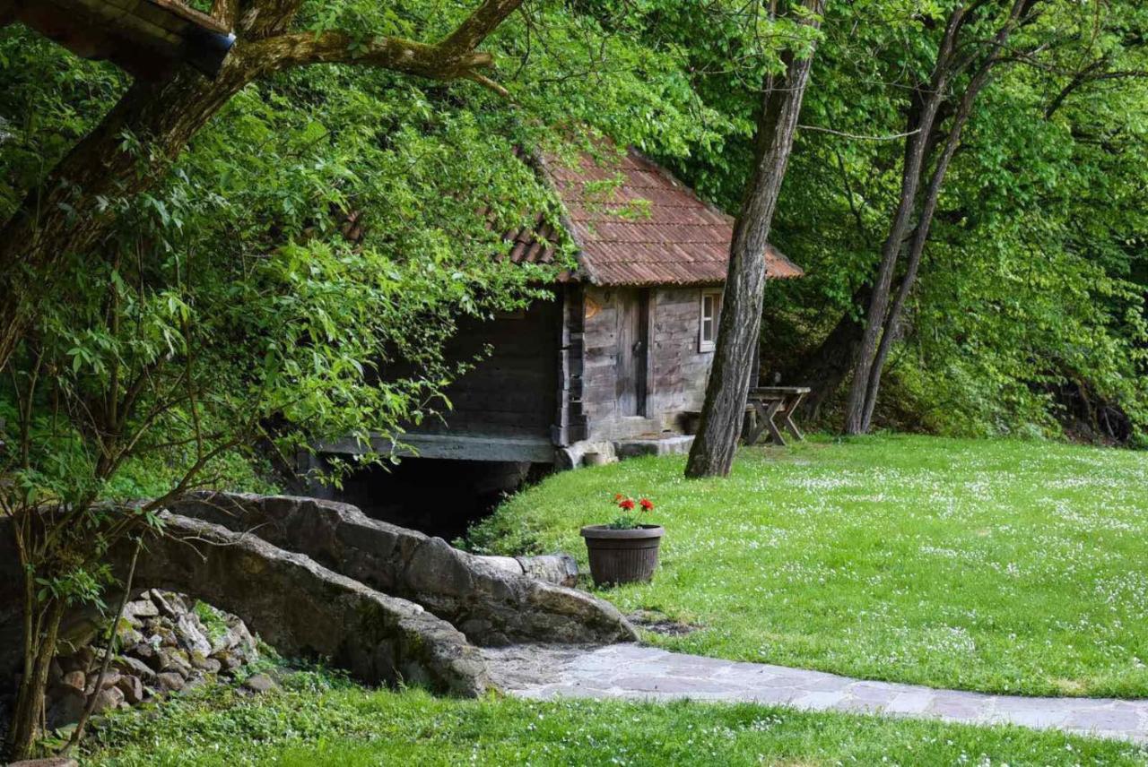Kuca Za Odmor Todorovica Mlin Gornji Milanovac