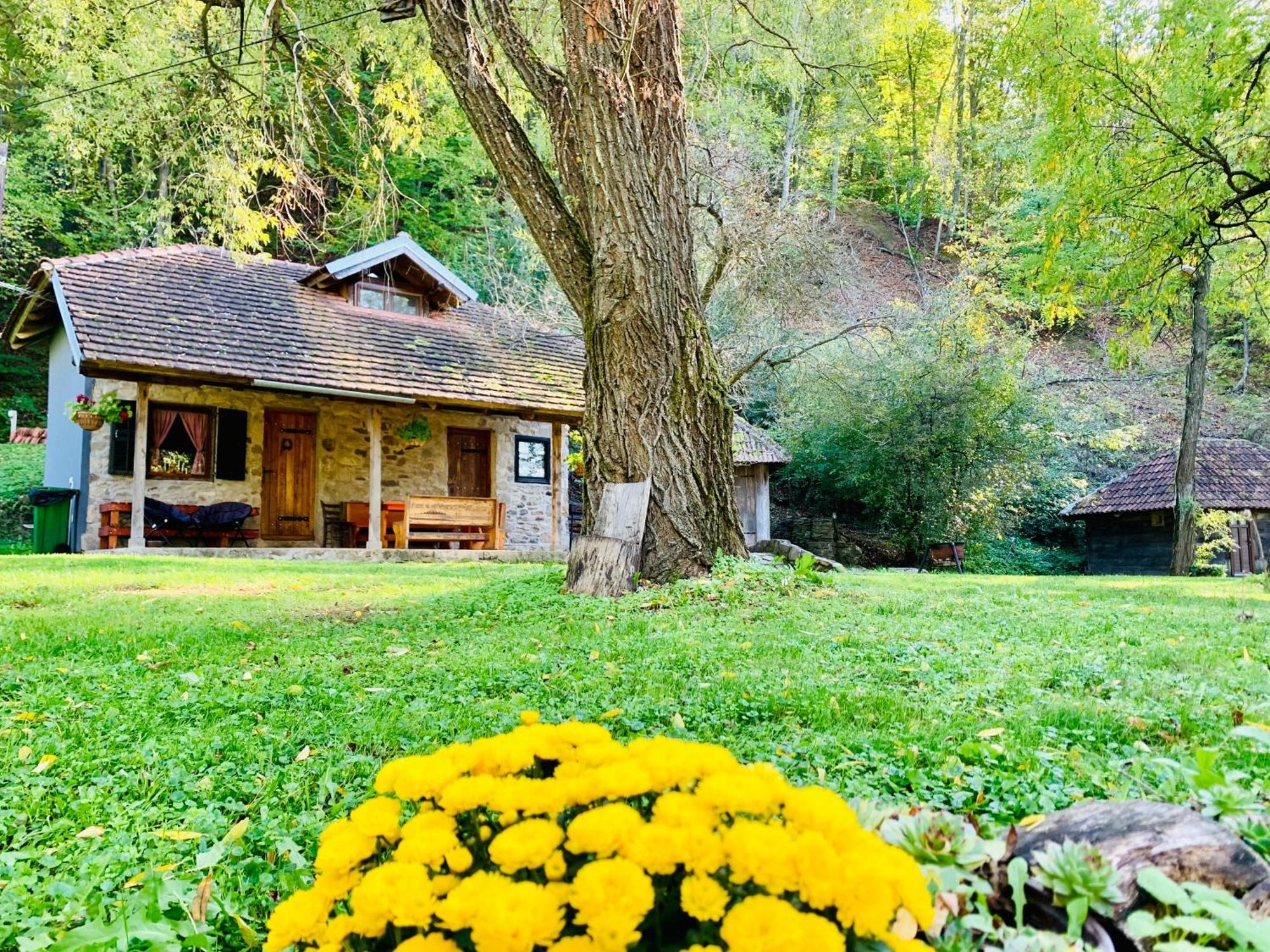 Holiday home Kuca Za Odmor Todorovica Mlin *