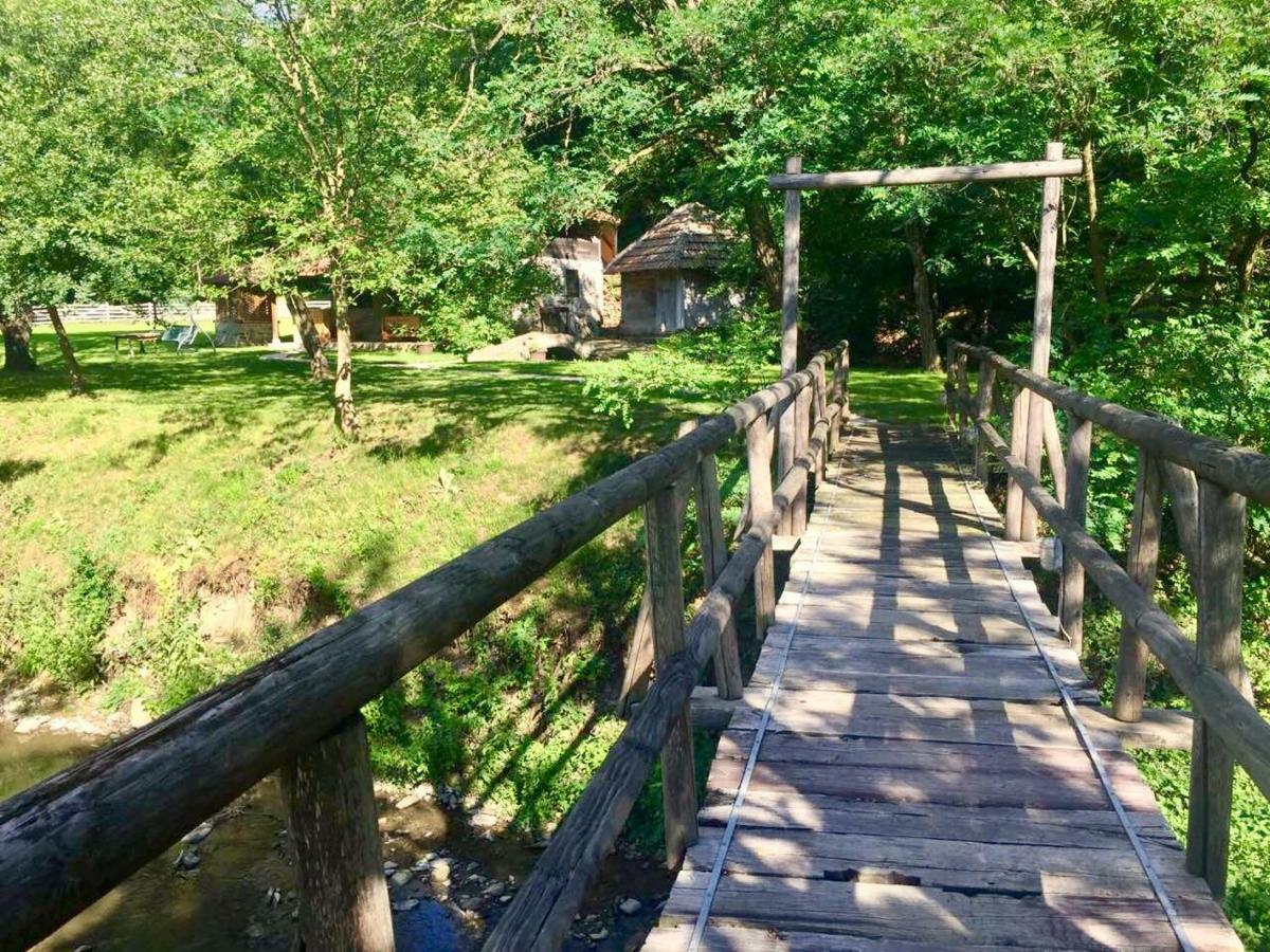 Holiday home Kuca Za Odmor Todorovica Mlin *