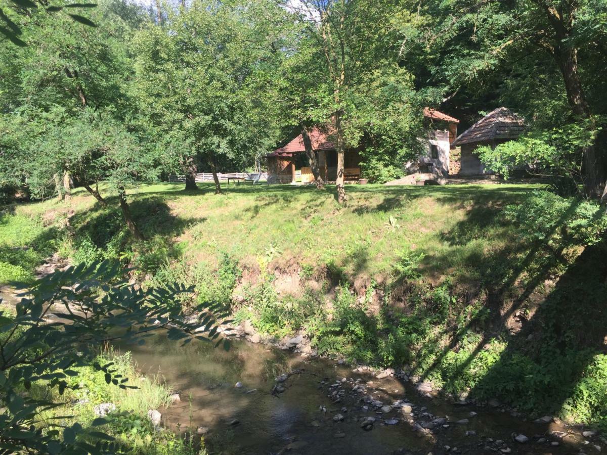 Kuca Za Odmor Todorovica Mlin Holiday home Gornji Milanovac
