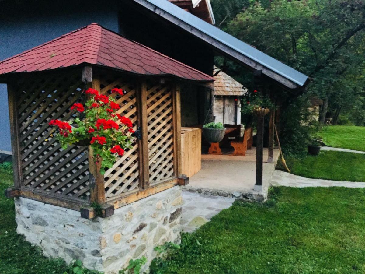 Holiday home Kuca Za Odmor Todorovica Mlin Gornji Milanovac
