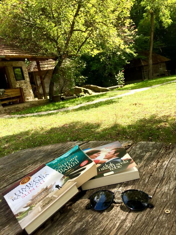 Holiday home Kuca Za Odmor Todorovica Mlin *