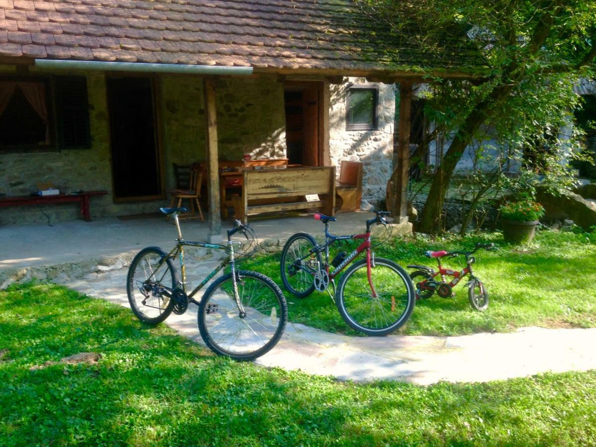 Kuca Za Odmor Todorovica Mlin Holiday home