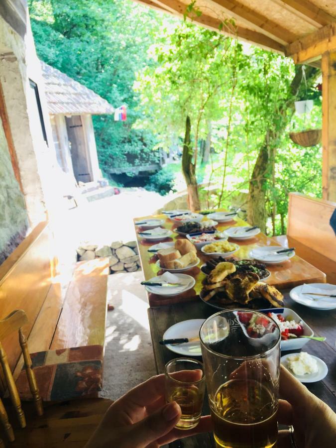Kuca Za Odmor Todorovica Mlin Holiday home Gornji Milanovac