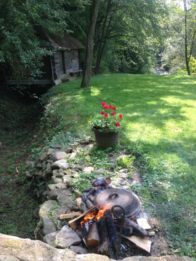 Holiday home Kuca Za Odmor Todorovica Mlin Gornji Milanovac